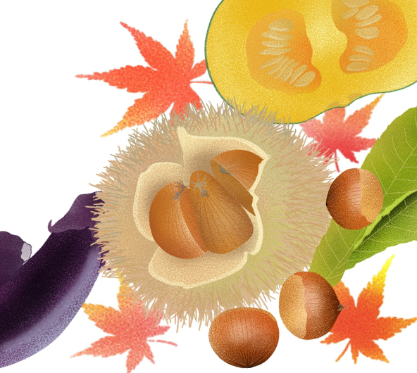 きもの秋穫祭は１０月２１日土曜日から　振袖・留袖・訪問着・色無地・小紋・名古屋帯・袋帯種類豊富です。鈴鹿・津・四日市・亀山